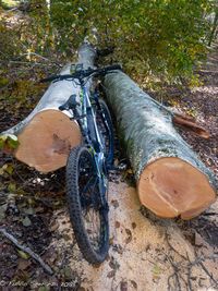 Abandoned bicycle on field