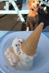 High angle view of dog with ice cream