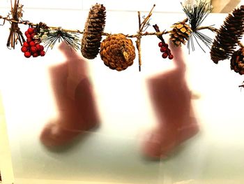 Close-up of red berries on plant