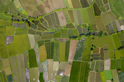 Full frame shot of farm