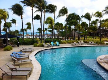 Palm trees in swimming pool