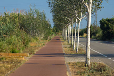 Empty road along plants and trees against sky