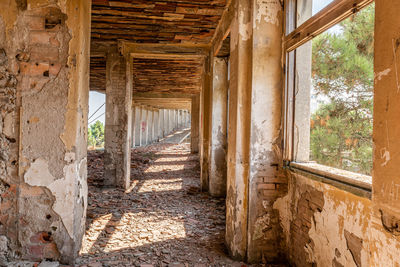 Abandoned summer camp