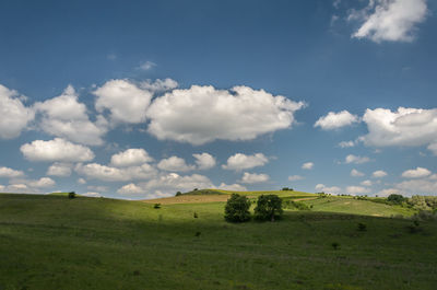 Scenic view of grassy field against cloudy sky