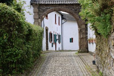 Footpath amidst trees