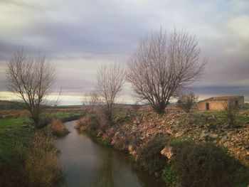 Bare trees against cloudy sky