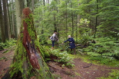 Rear view of men walking in forest