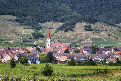 The view of ammerschwihr and famous grand cru vine yards of alsace. taken in alsace region, france