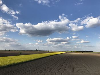 Scenic view of agricultural field against sky