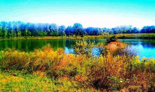 Reflection of trees in calm lake