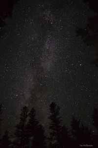 Low angle view of star field against star field