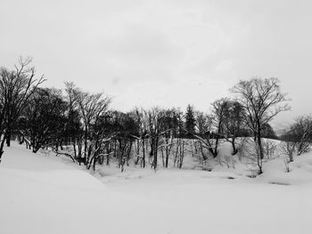 Bare trees on snow covered landscape against sky