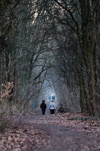 Rear view of people walking on road in forest