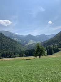 Scenic view of field against sky