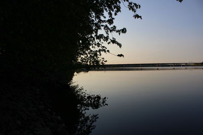 Reflection of trees in water