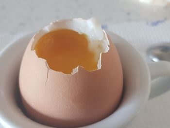 Close-up of egg in plate