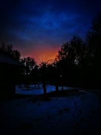 Silhouette of trees at sunset