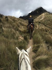 Rear view of man horseback riding on field against sky