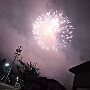 Low angle view of firework display at night