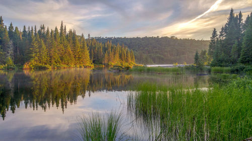 Scenic view of lake by trees against sky