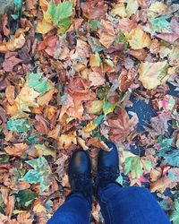 Low section of person standing on field during autumn