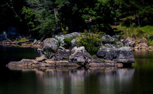 Scenic view of lake by rocks in forest