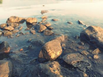 High angle view of stones on beach