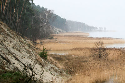 Scenic view of lake against clear sky