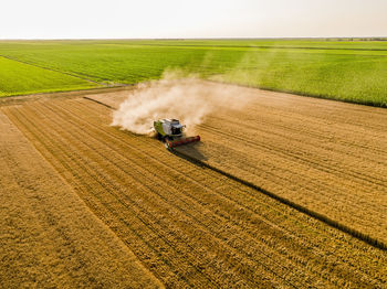 Drone view of combine harvester in wheat field