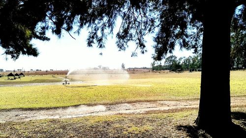 Scenic view of grassy field against sky