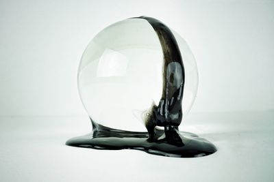 Close-up of a horse on white background