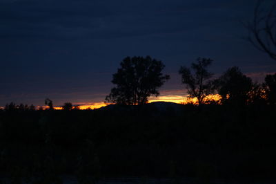 Silhouette trees against sky during sunset
