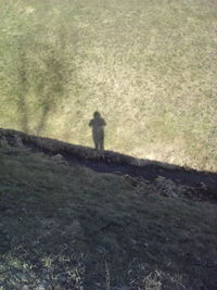 Shadow of person on tree