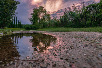 Reflection of trees in lake against sky
