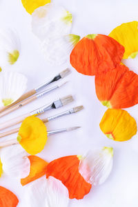 High angle view of orange flower on white table