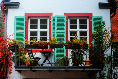 Potted plants on balcony of building