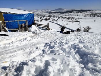 Snow covered field against sky