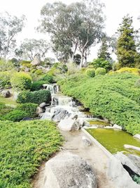 Scenic view of waterfall in forest against sky