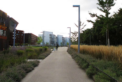 Road by trees against sky in city