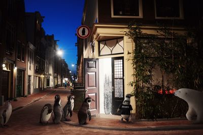 Man walking on illuminated street at night