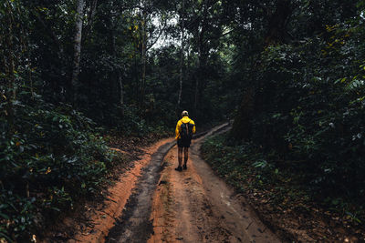 Rear view of man walking on footpath in forest