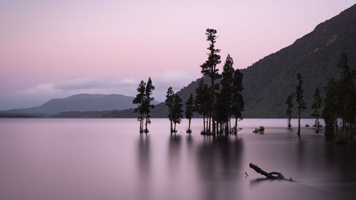 Silhouette trees by lake against sky at sunset