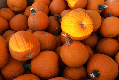 High angle view of pumpkins for sale at market stall