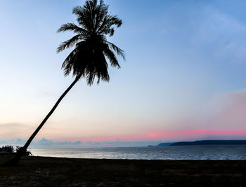 Silhouette palm tree by sea against sky at sunset