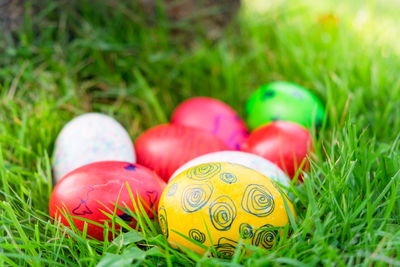 Close-up of multi colored eggs on grass