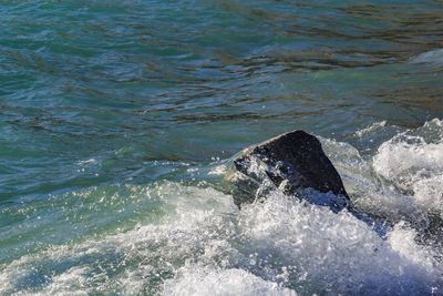 Waves breaking against sea