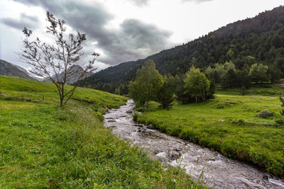 Scenic view of river by mountains against sky