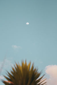 Low angle view of moon against sky