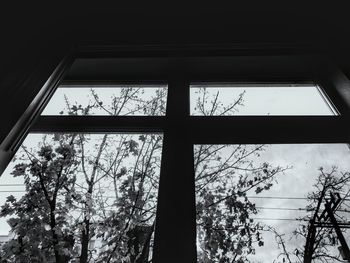 Low angle view of window in winter