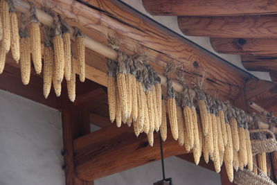 High angle view of corns hanging on roof
